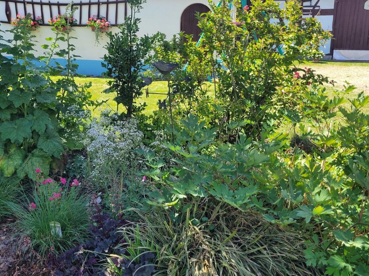 Cosy Holiday Home In Schleithal With Garden Экстерьер фото